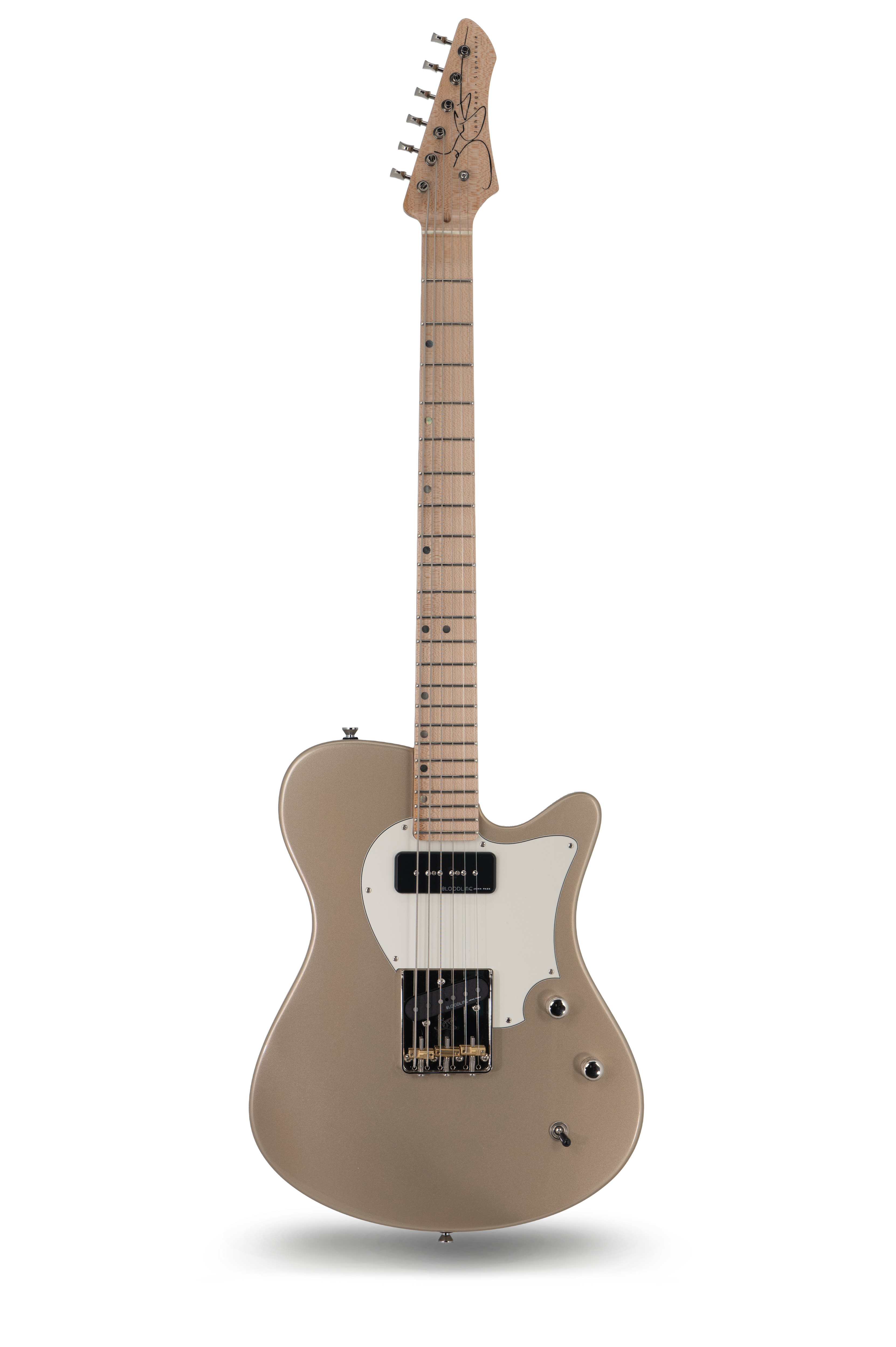 AJ - Shoreline Gold