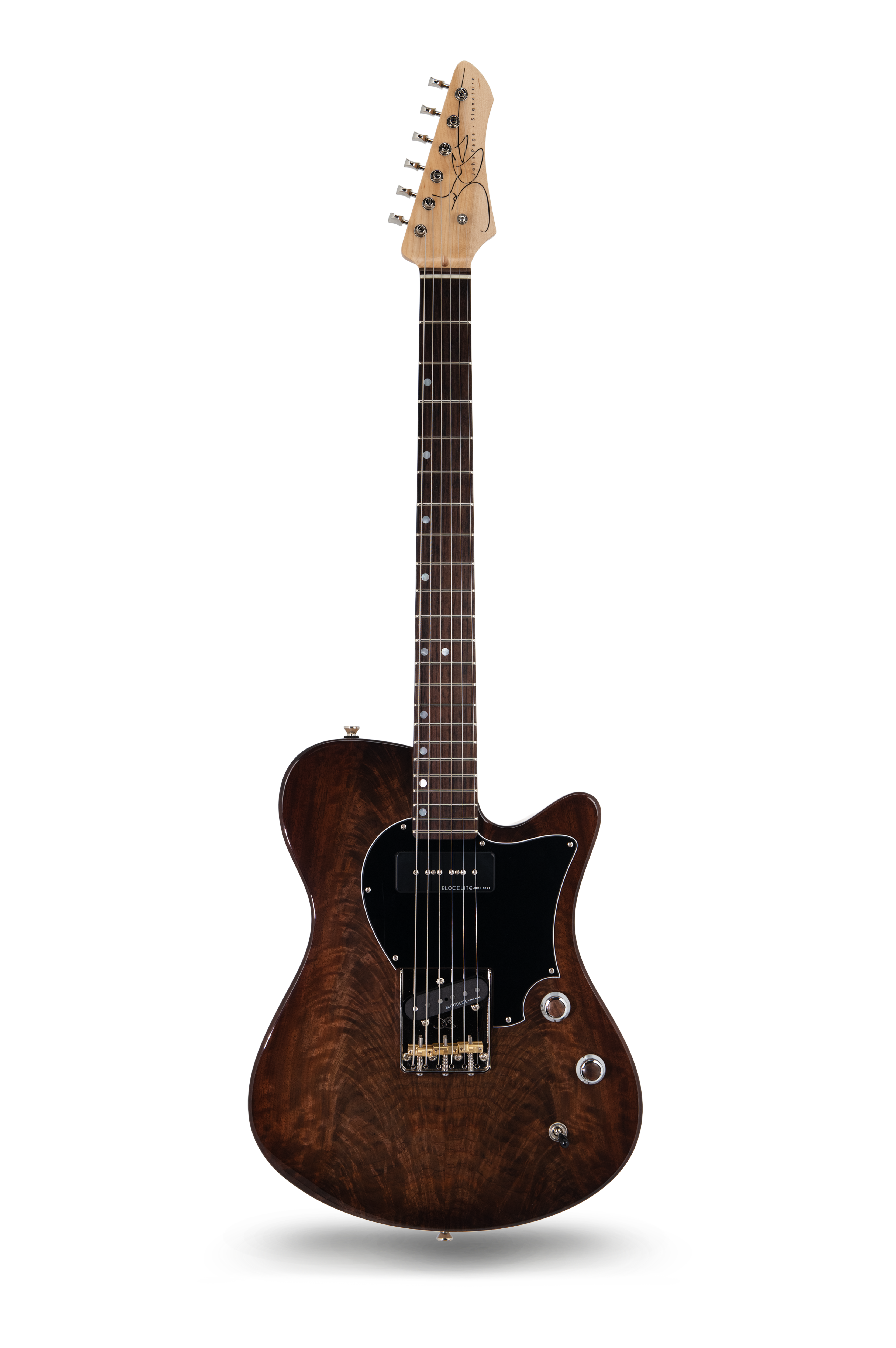 AJ - Claro Walnut