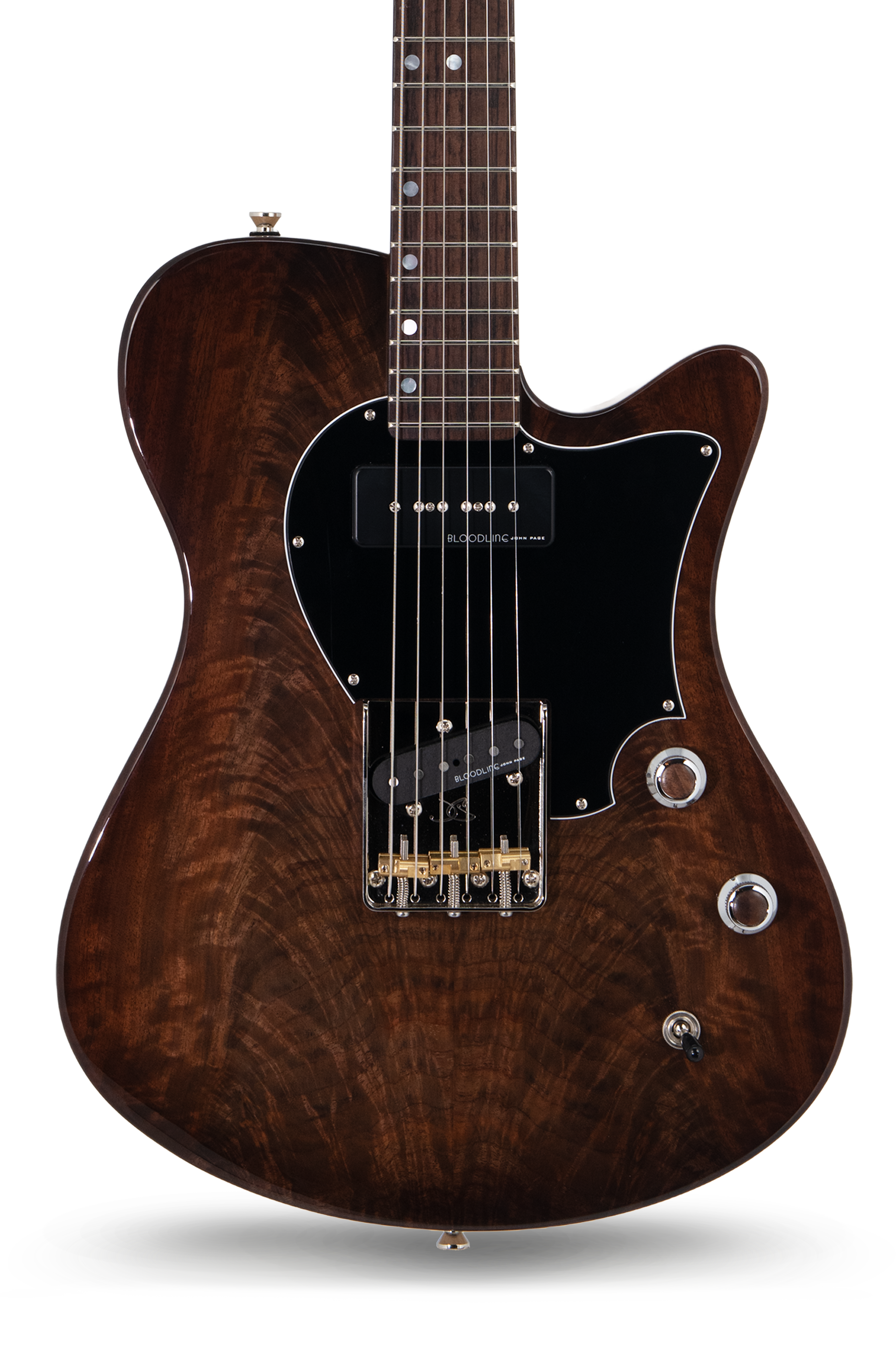 AJ - Claro Walnut