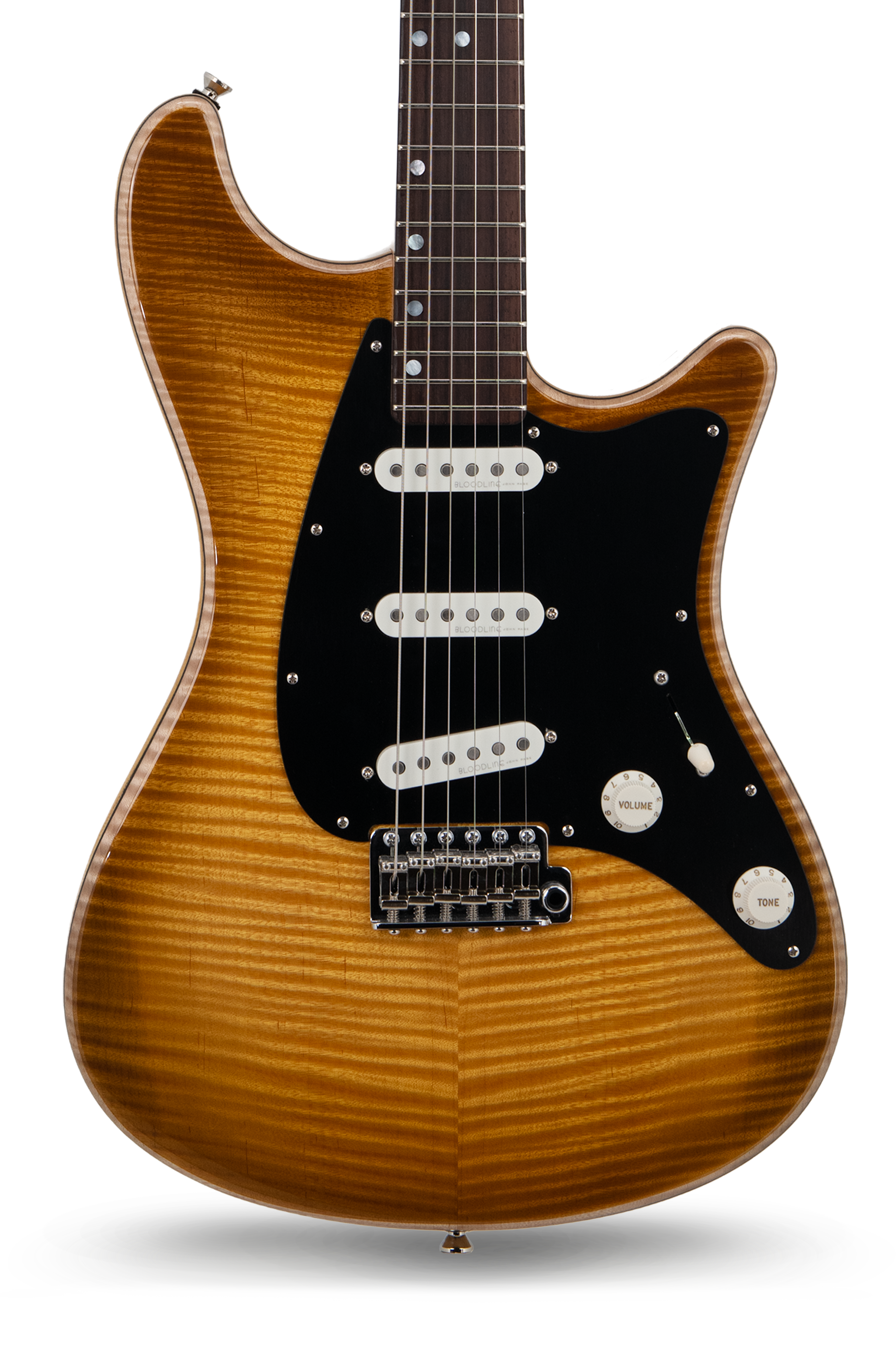 Ashburn - Flame Maple