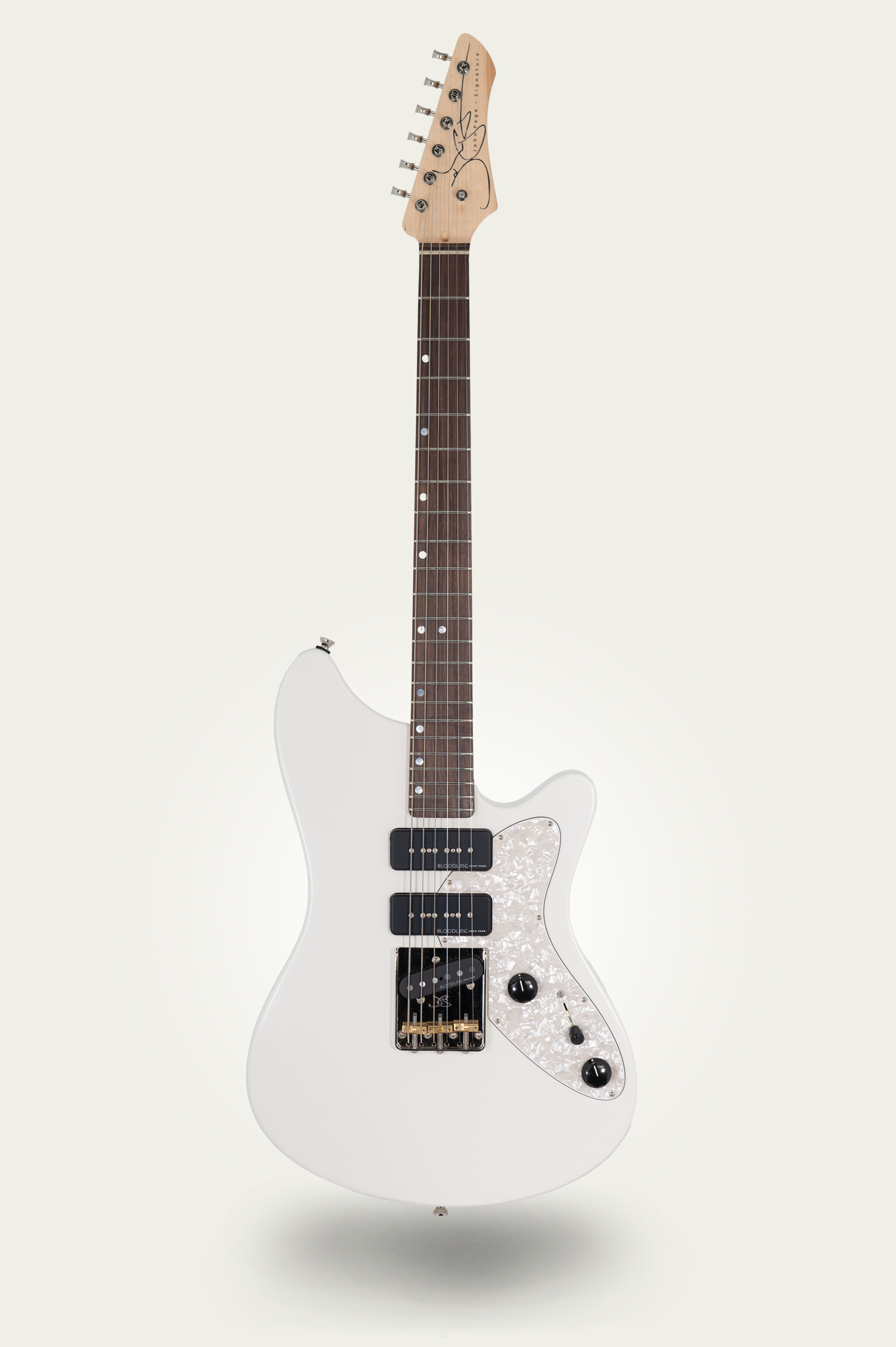 #fretboard_rosewood